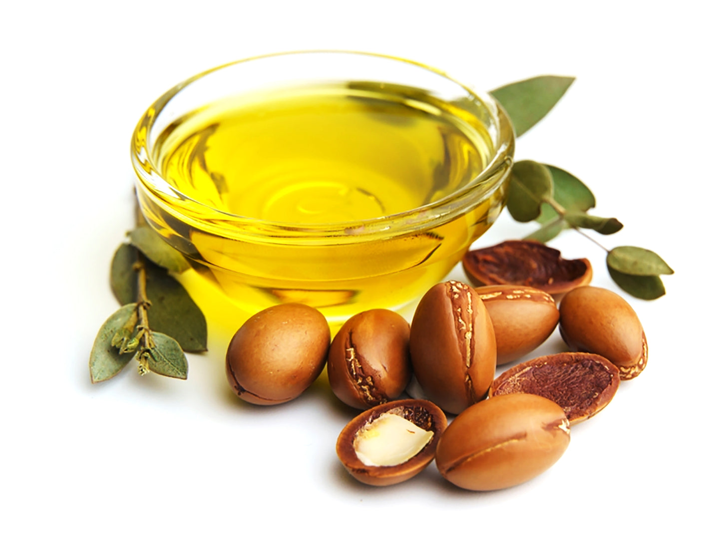 yellow argan oil with brown argan seeds