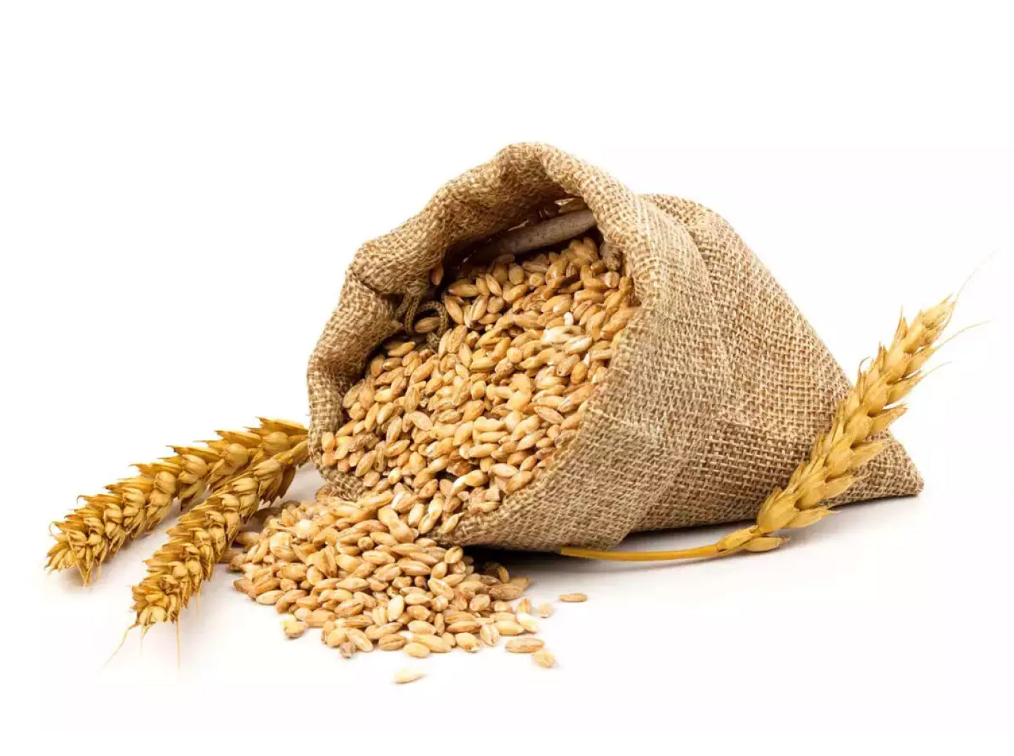 brown wheat in a bag