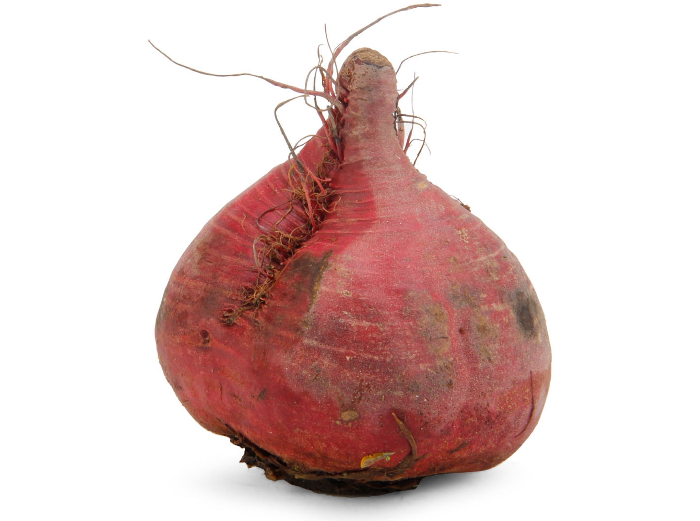 red beet