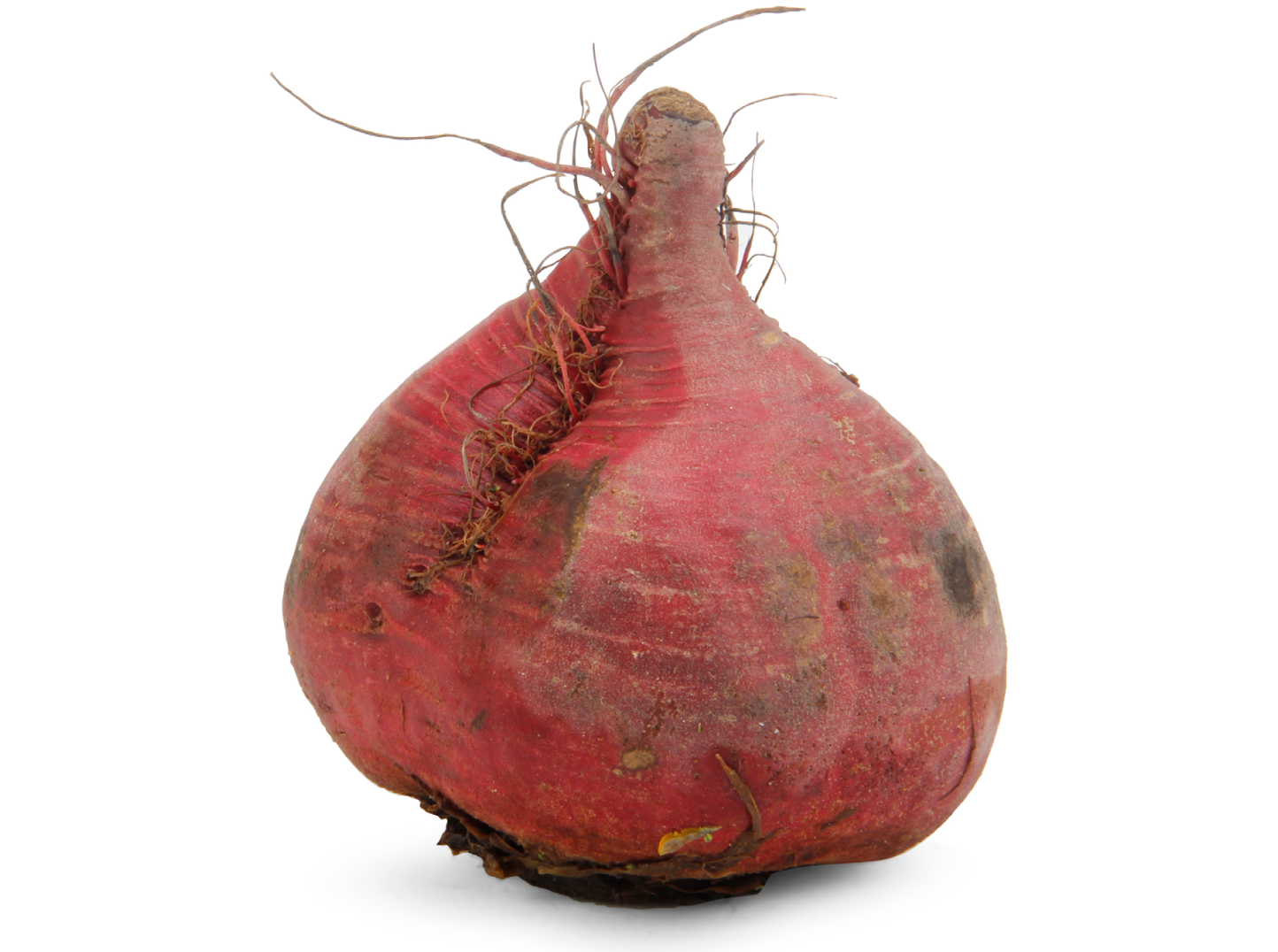 red beet 