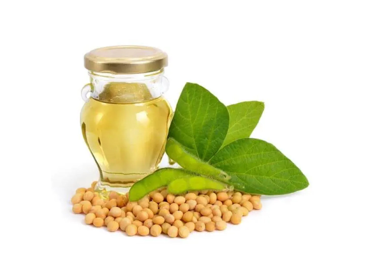 brown seeds with yellow oil and green leaves